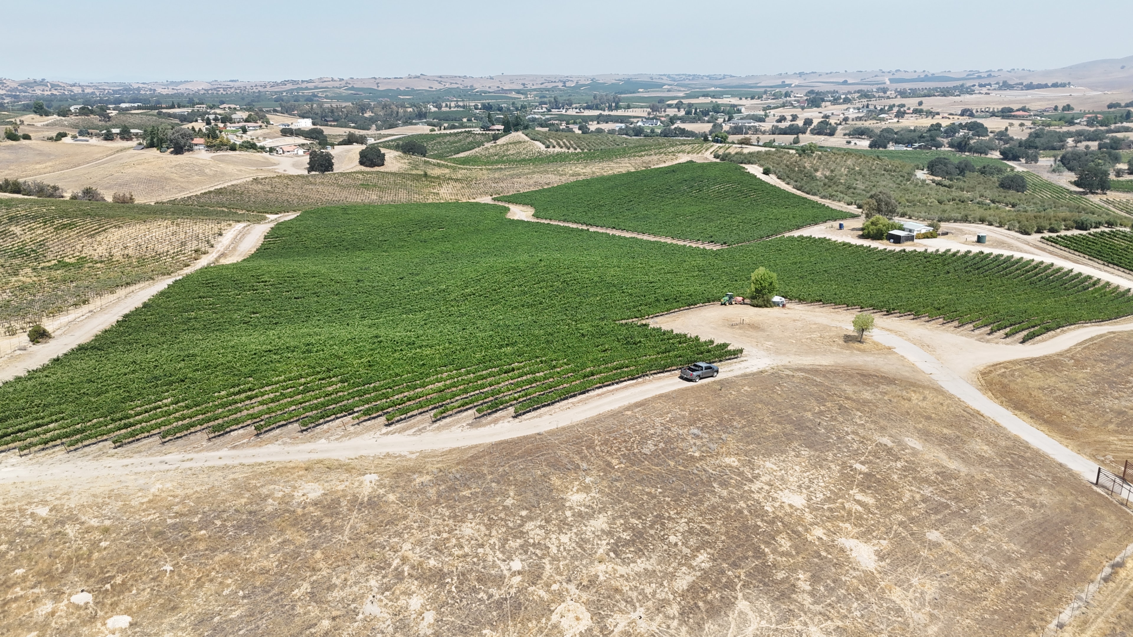 Drone photo of Javadi Wines estate rows in Paso Robles
